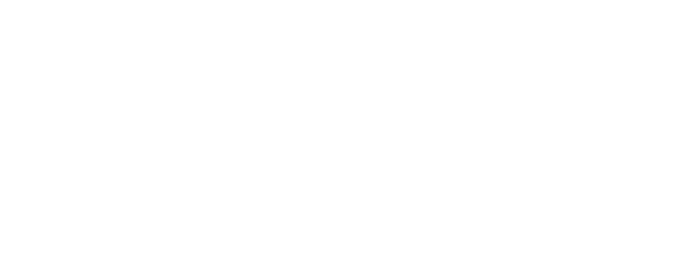 Silver Bullet company logo