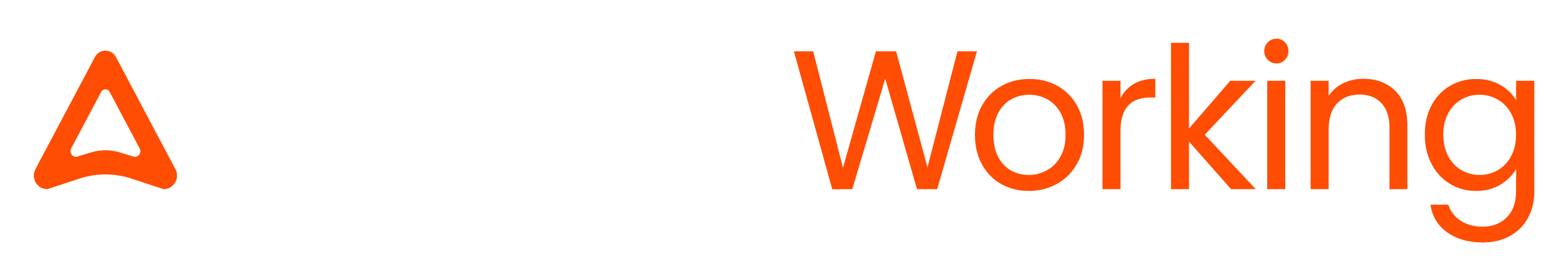 Software Development Outsourcing Solutions